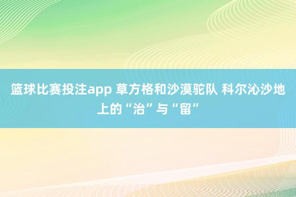 篮球比赛投注app 草方格和沙漠驼队 科尔沁沙地上的“治”与“留”