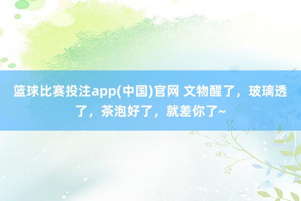 篮球比赛投注app(中国)官网 文物醒了，玻璃透了，茶泡好了，就差你了~