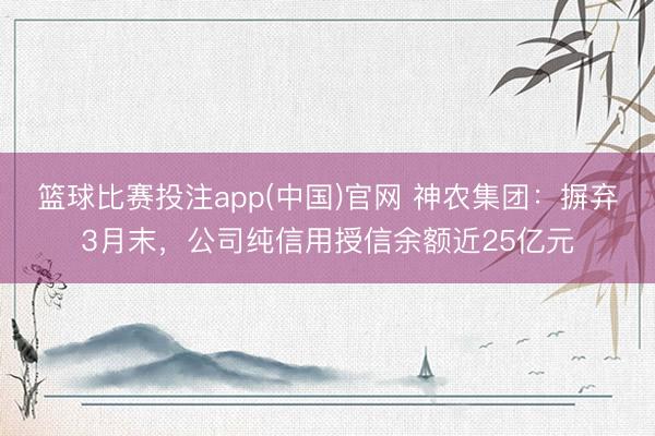 篮球比赛投注app(中国)官网 神农集团：摒弃3月末，公司纯信用授信余额近25亿元