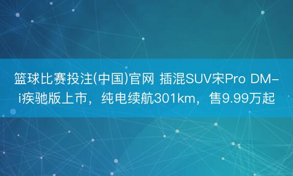 篮球比赛投注(中国)官网 插混SUV宋Pro DM-i疾驰版上市，纯电续航301km，售9.99万起